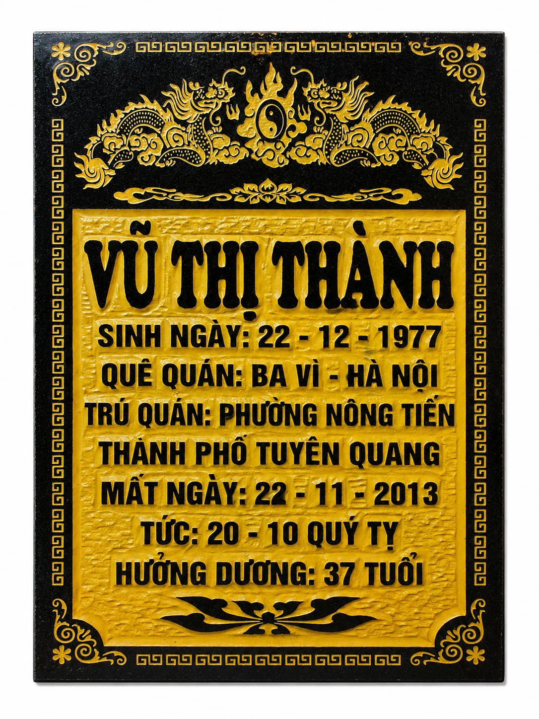 Bia chữ nổi nền đen, tên lớn màu vàng — ảnh tham khảo trong bộ mẫu Trần Lưu
